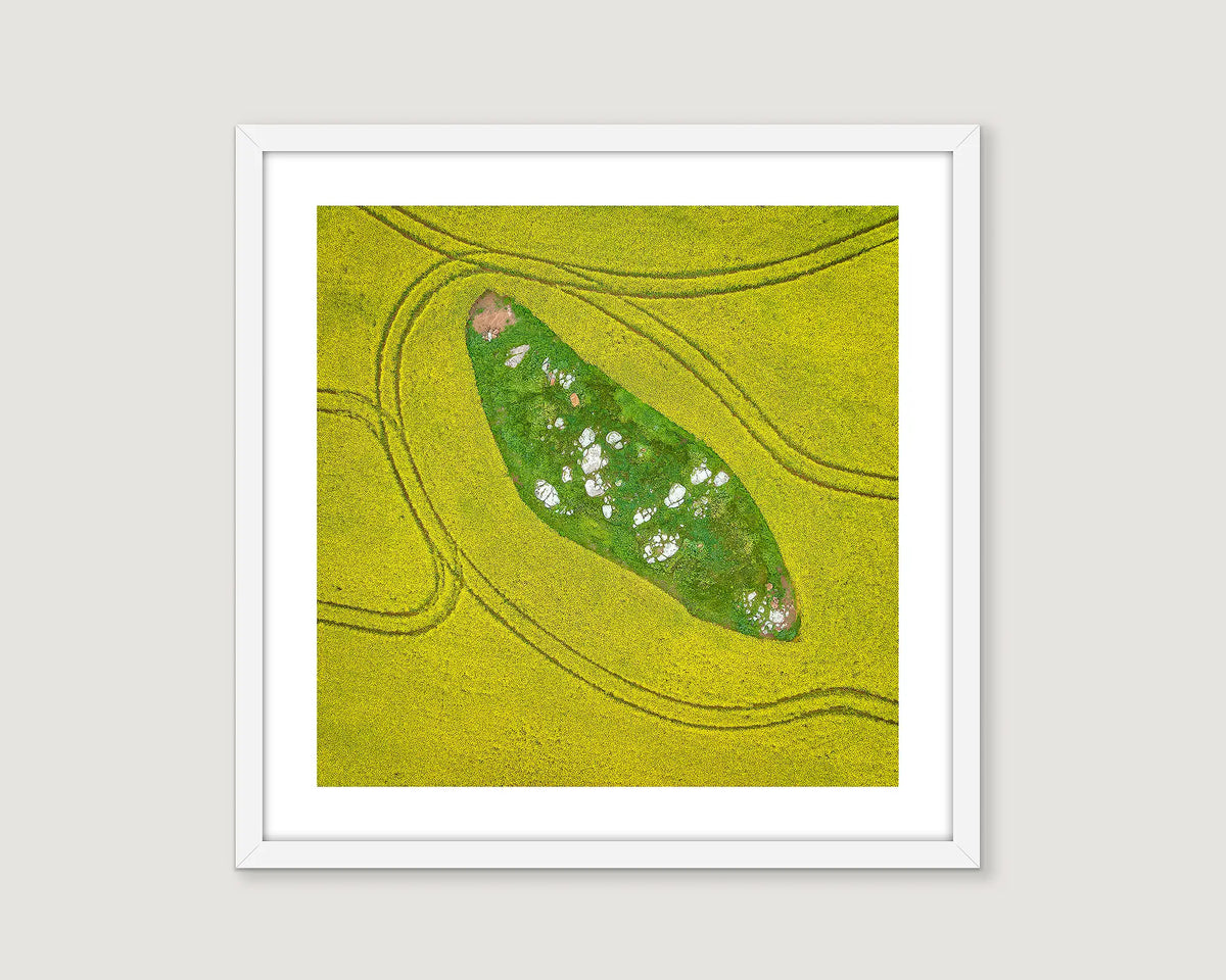 Framed abstract photograph of a field with yellow green colours.