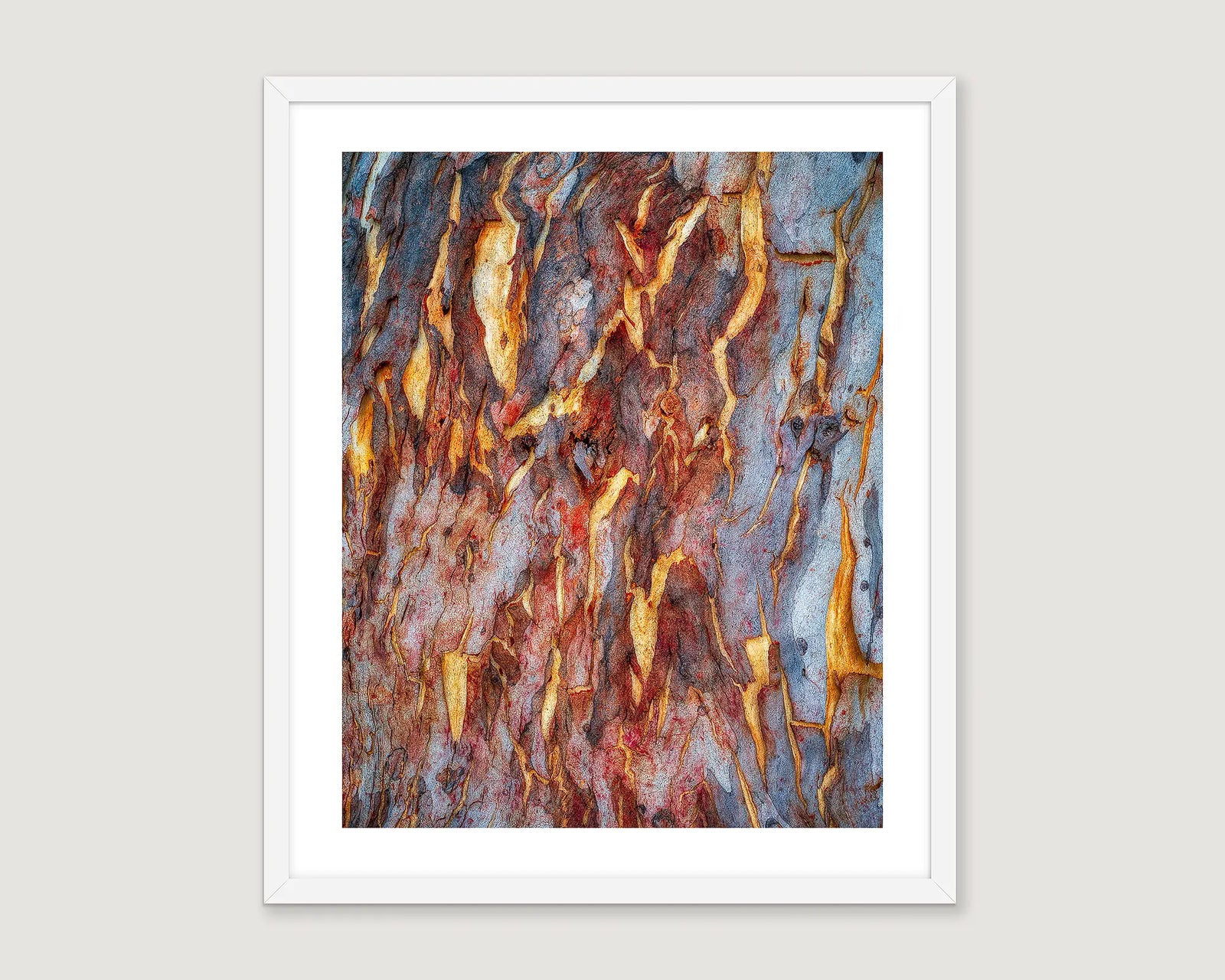 Framed abstract photograph of a peeling tree trunk.