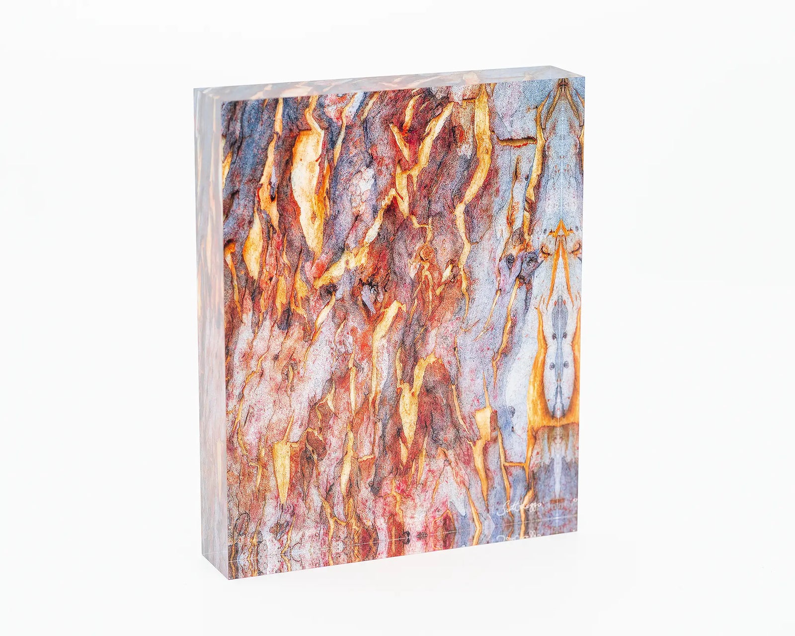 Peeling acyrlic block - abstract gum tree bark artwork. 