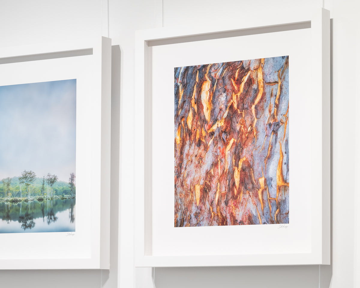 Peeling. Gum tree bark patterns Farrer Ridge, Canberra, with white frame on display in gallery.