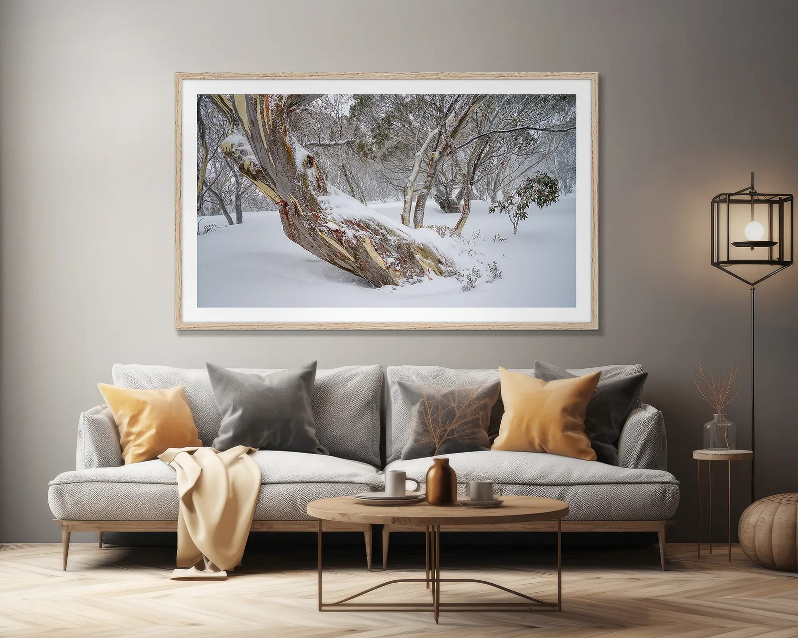 Persistence. Ancient snow gum covered with fresh snow, Kosciuszko National Park.