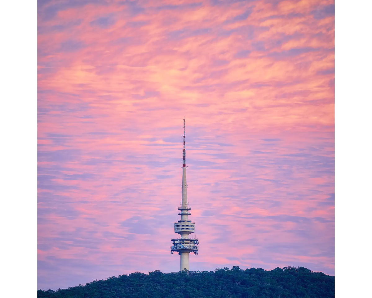 Pink sky at sunrise with Telstra Tower and Black Mountain, Canberra, Australia.