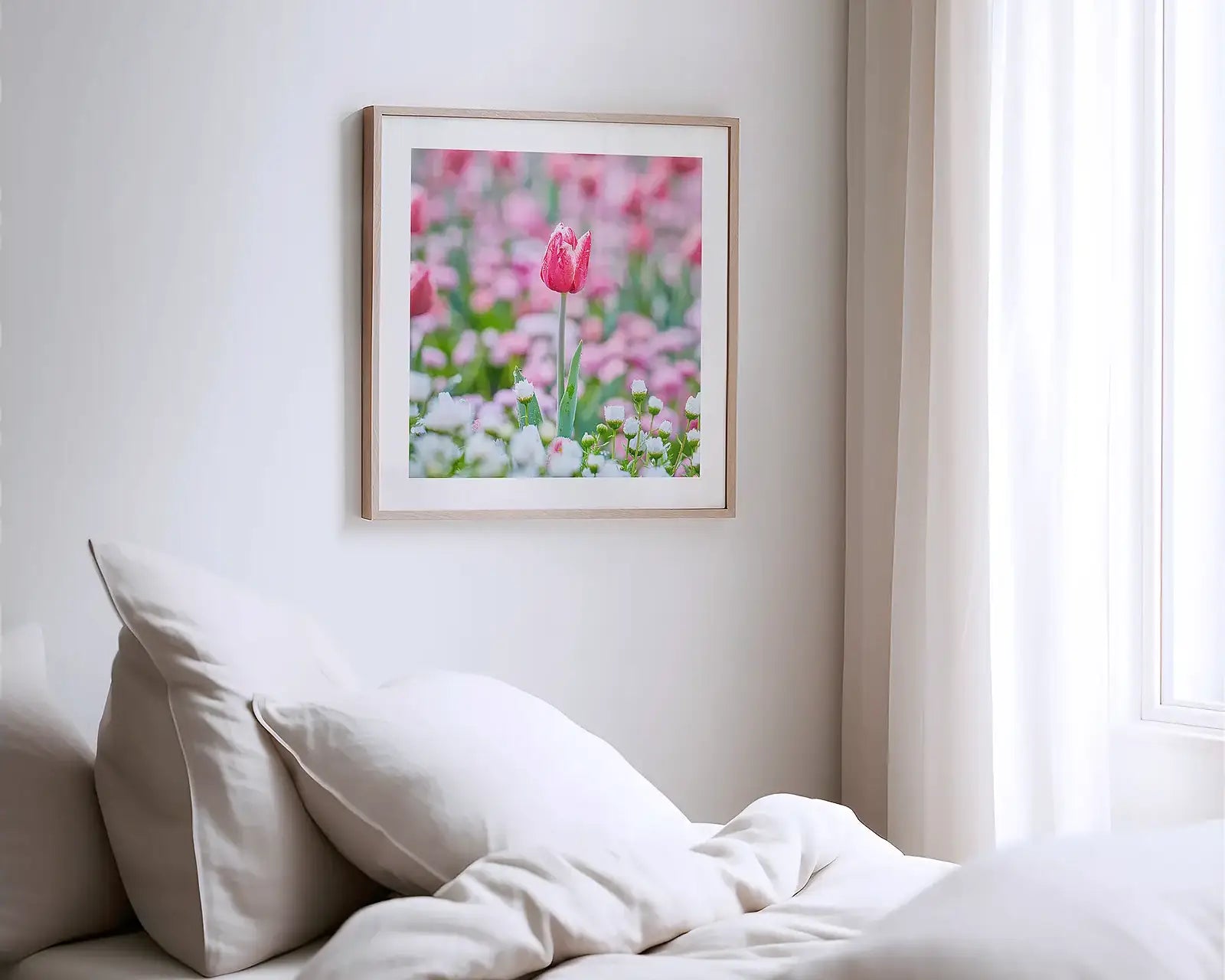 Pink tulip photography artwork hun on bedroom wall.