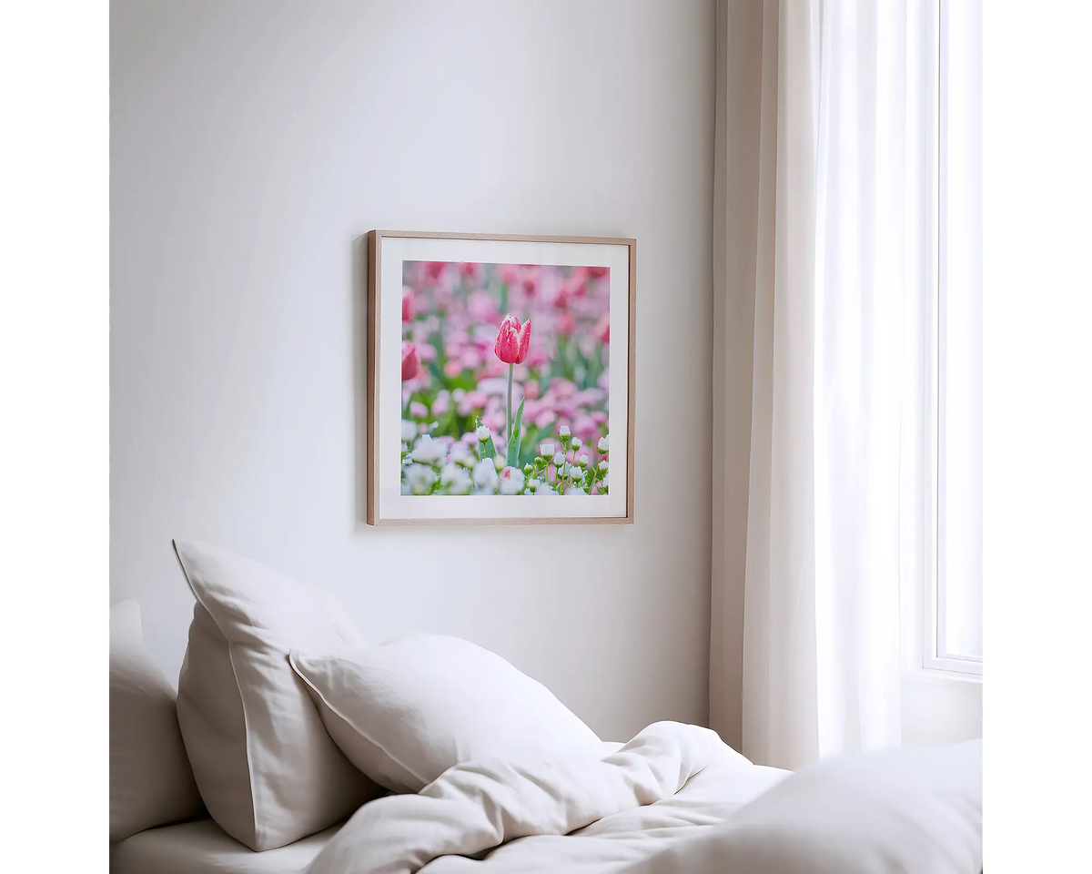 Pretty in Pink. Floriade tulip photography artwork with a timber frame, hung on a bedroom wall. 