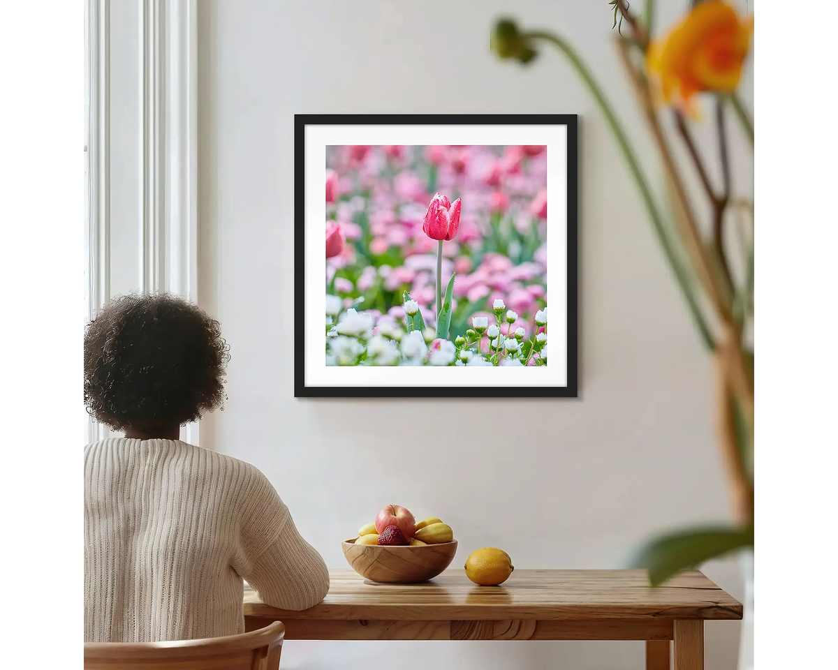Pretty in Pink. Floriade tulip wall art print with a black frame, hung on a kitchen wall with a woman admiring. 