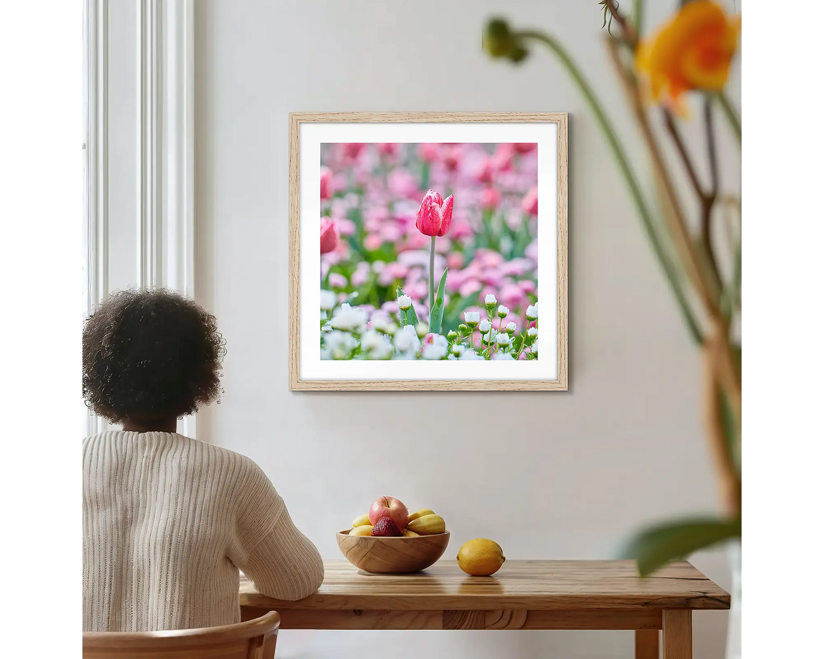 Pretty in Pink. Floriade tulip wall art print with a timber frame, hung on a kitchen wall with a woman admiring. 