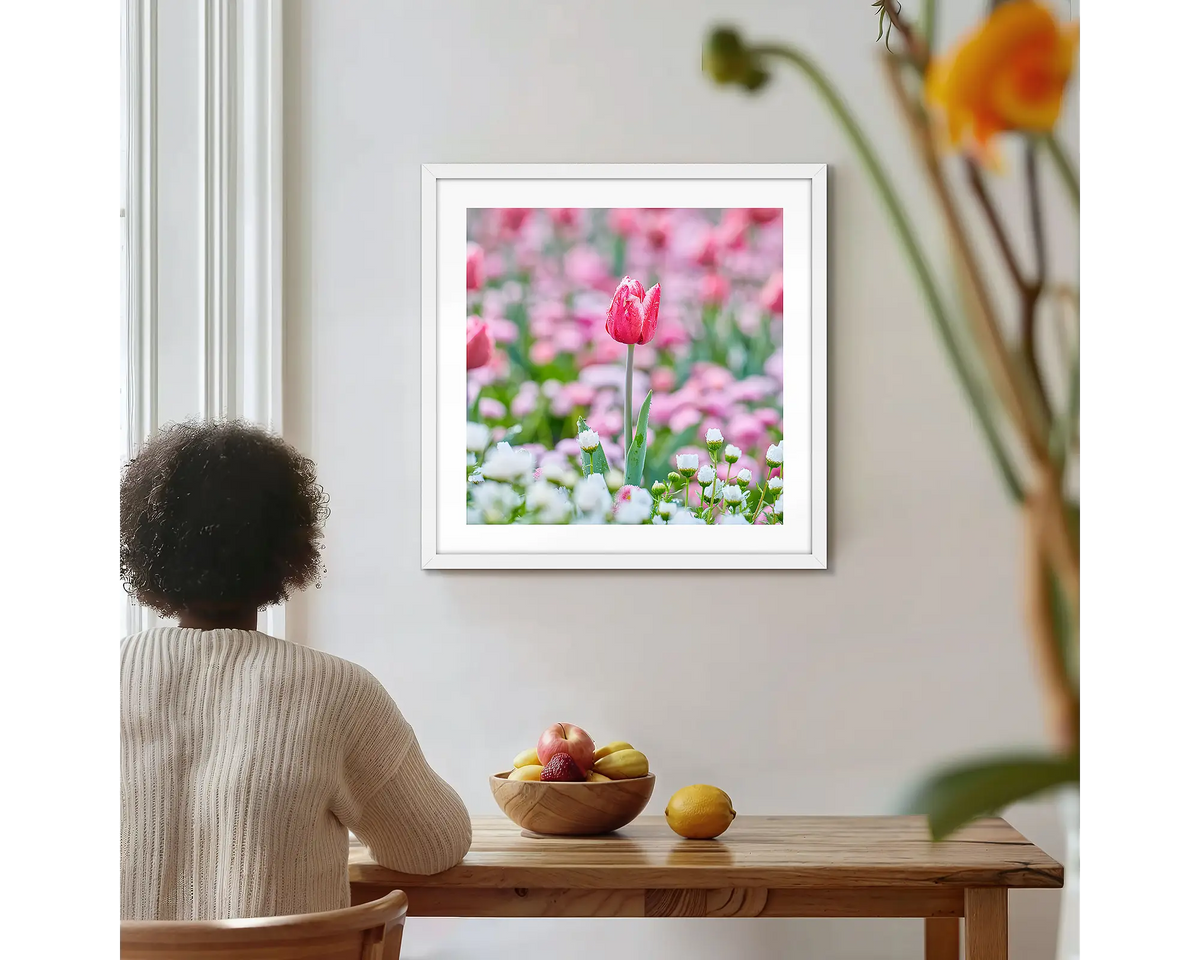 Pretty in Pink. Floriade tulip wall art print with a white frame, hung on a kitchen wall with a woman admiring. 