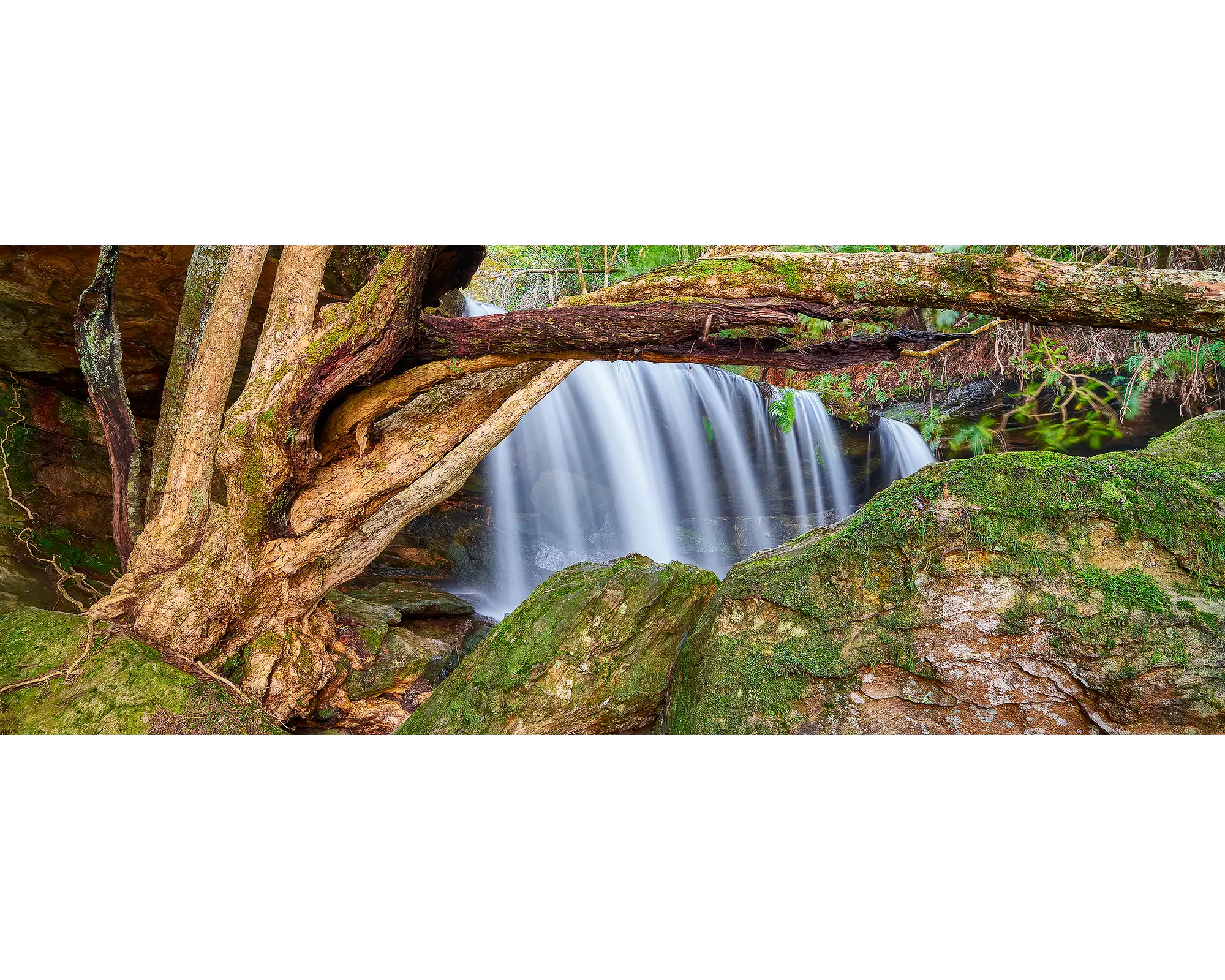 Protected Falls. Morton National Park, New South Wales.