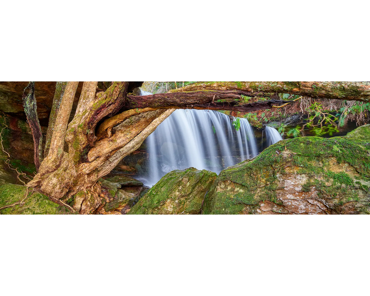 Waterfall surrounded by greenery and a large tree trunk in the foreground.