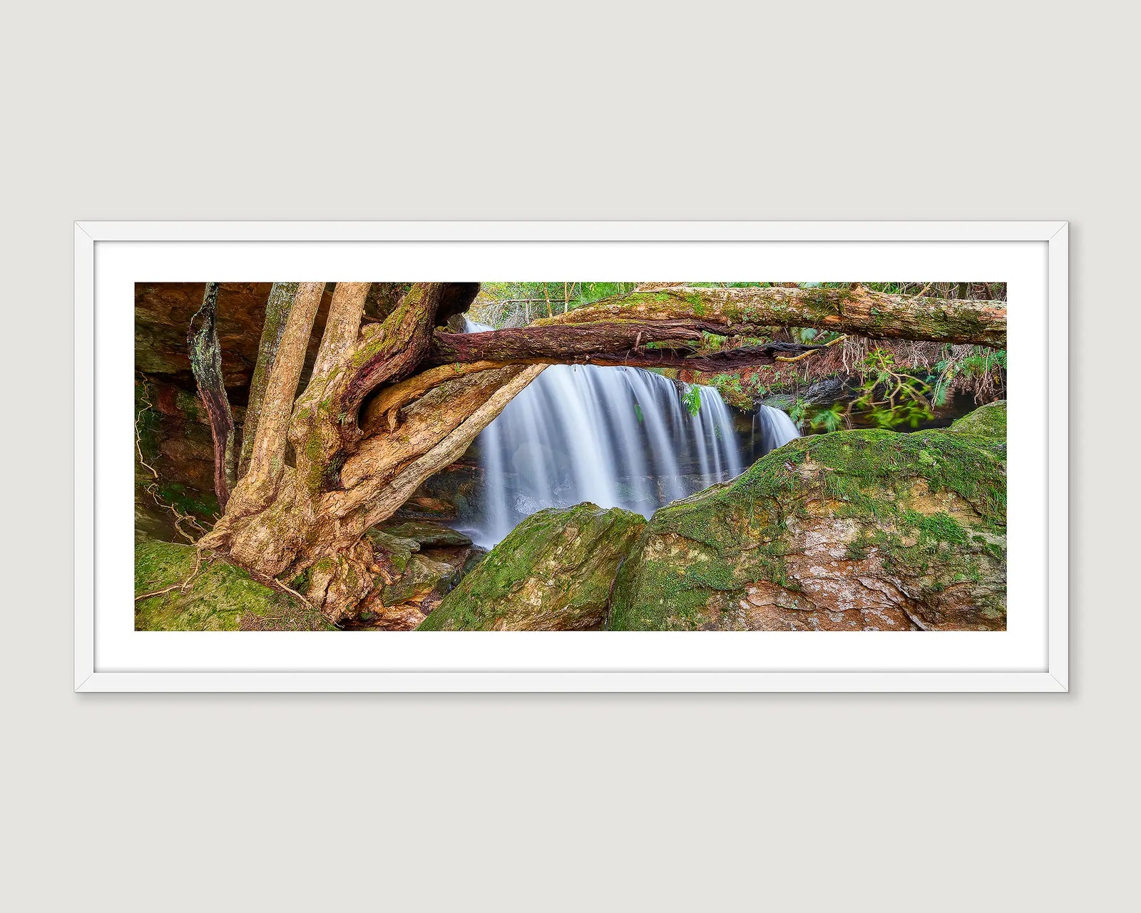 Framed landscape photograph of a waterfall with a tree and mossy rocks.