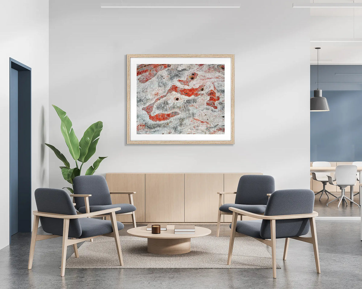 Pursuit. Abstract tree bark, wall art print with a Tasmanian Oak frame, hung on the wall of a waiting area. 