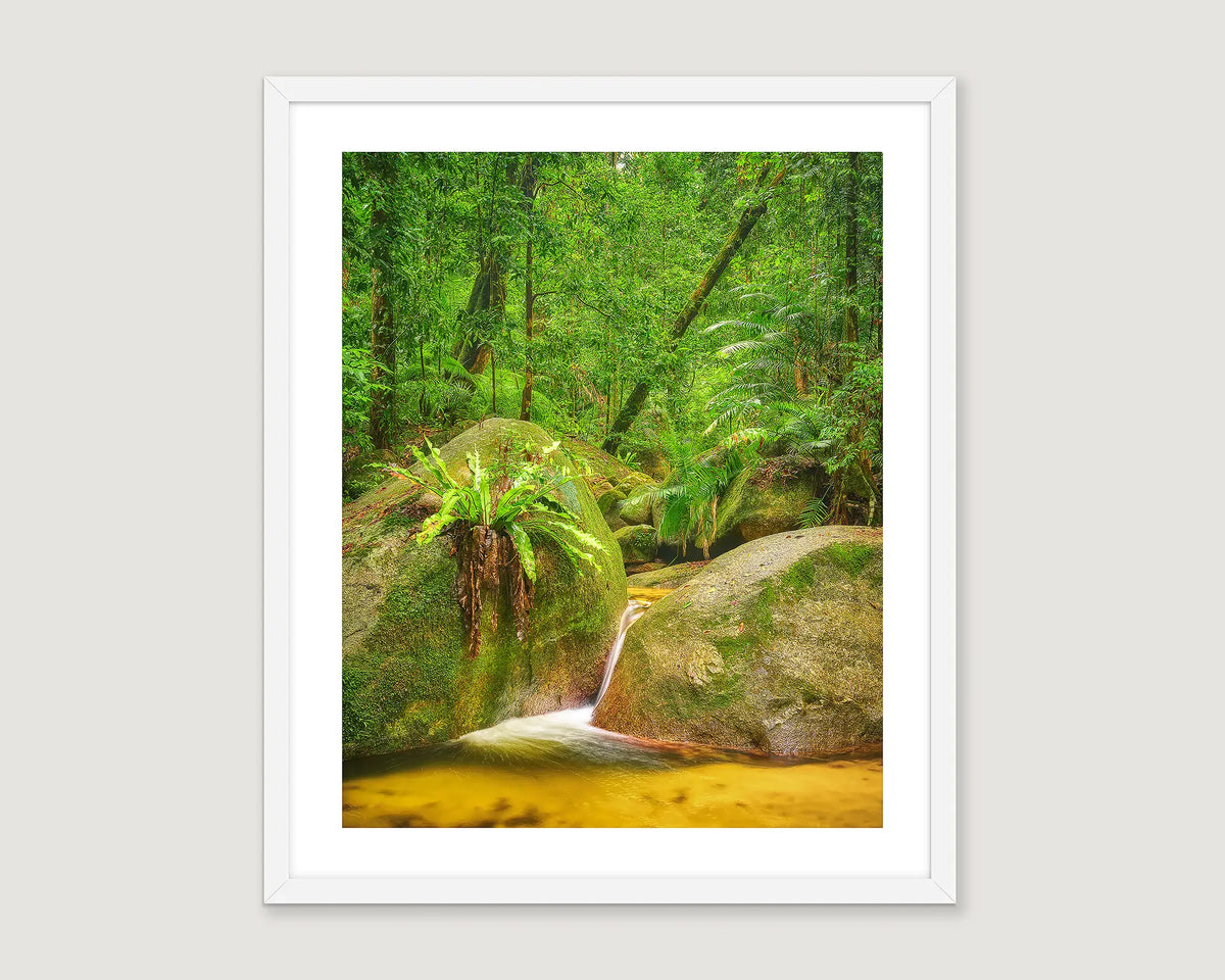 Framed photograph of a rainforest with water and rocks.