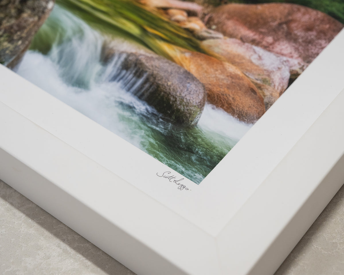 Rainforest Rocks. Mossman Gorge, Queensland, with white frame, corner details.