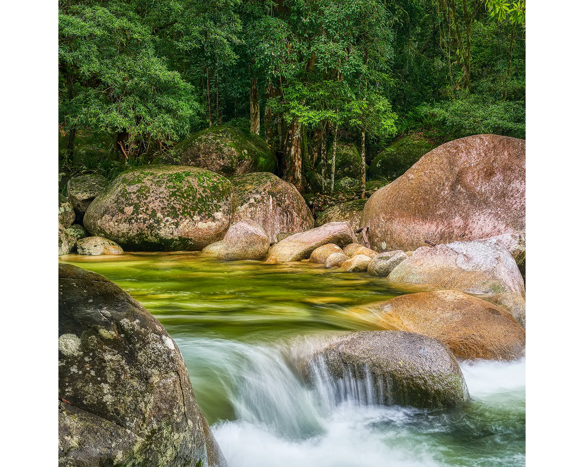 Rainforest Rocks acrylic block - Mossman Gorge, Daintree National Park, Queensland. 