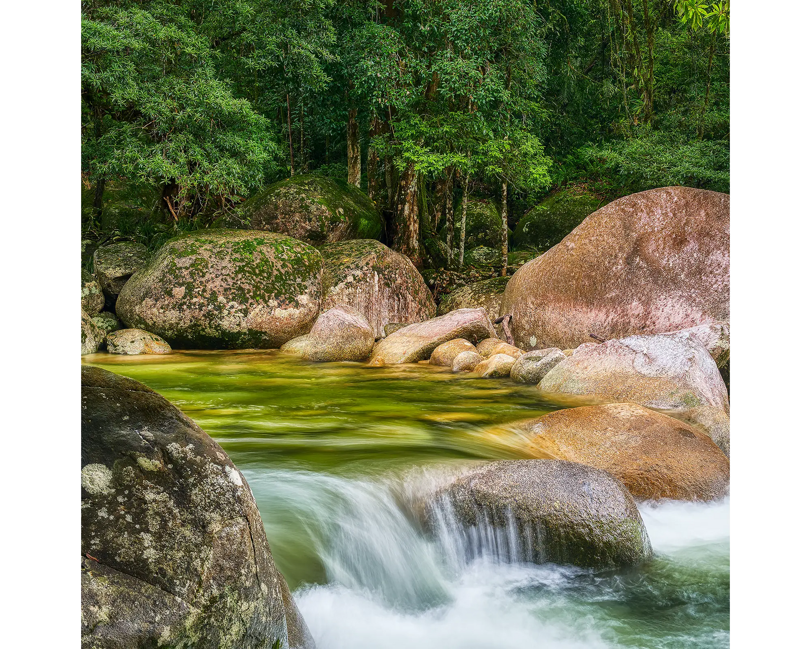 Rainforest Rocks - Waterfall, Mossman Gorge, Queensland, Australia.
