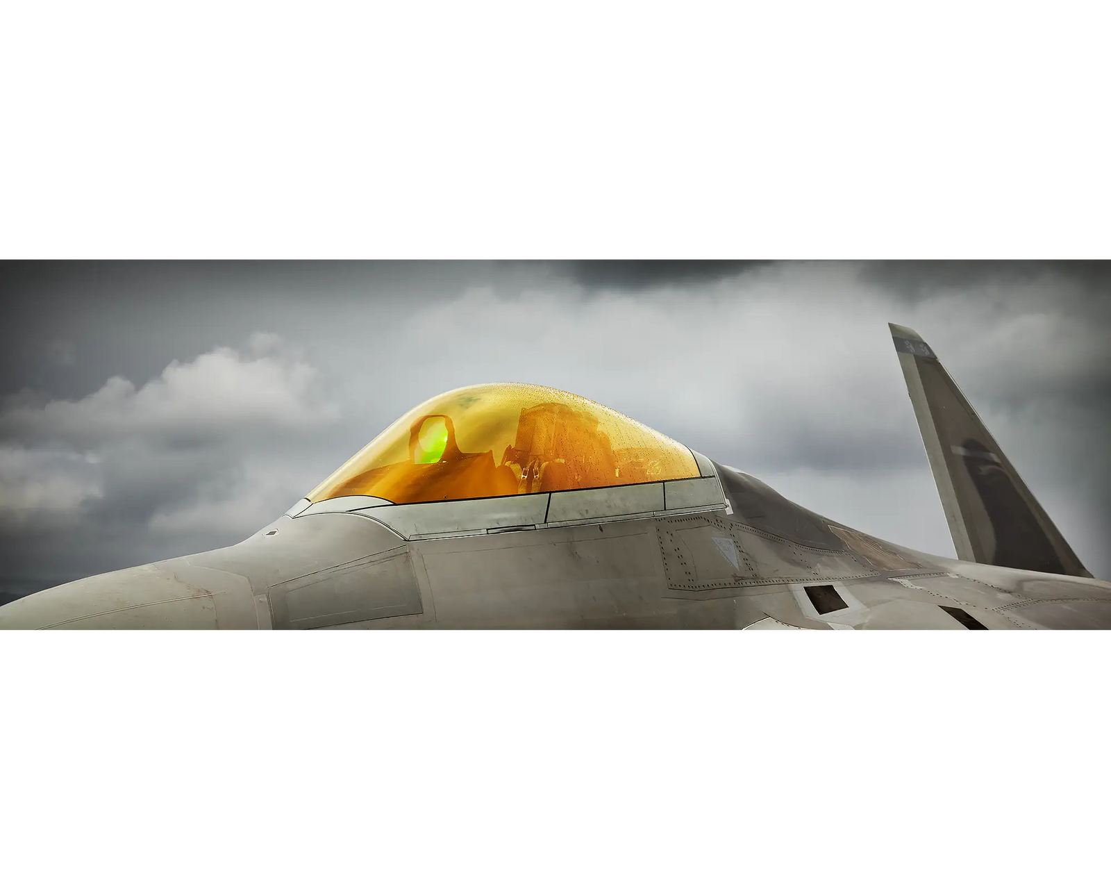 United States Air Force F-22 Raptor gold canopy.