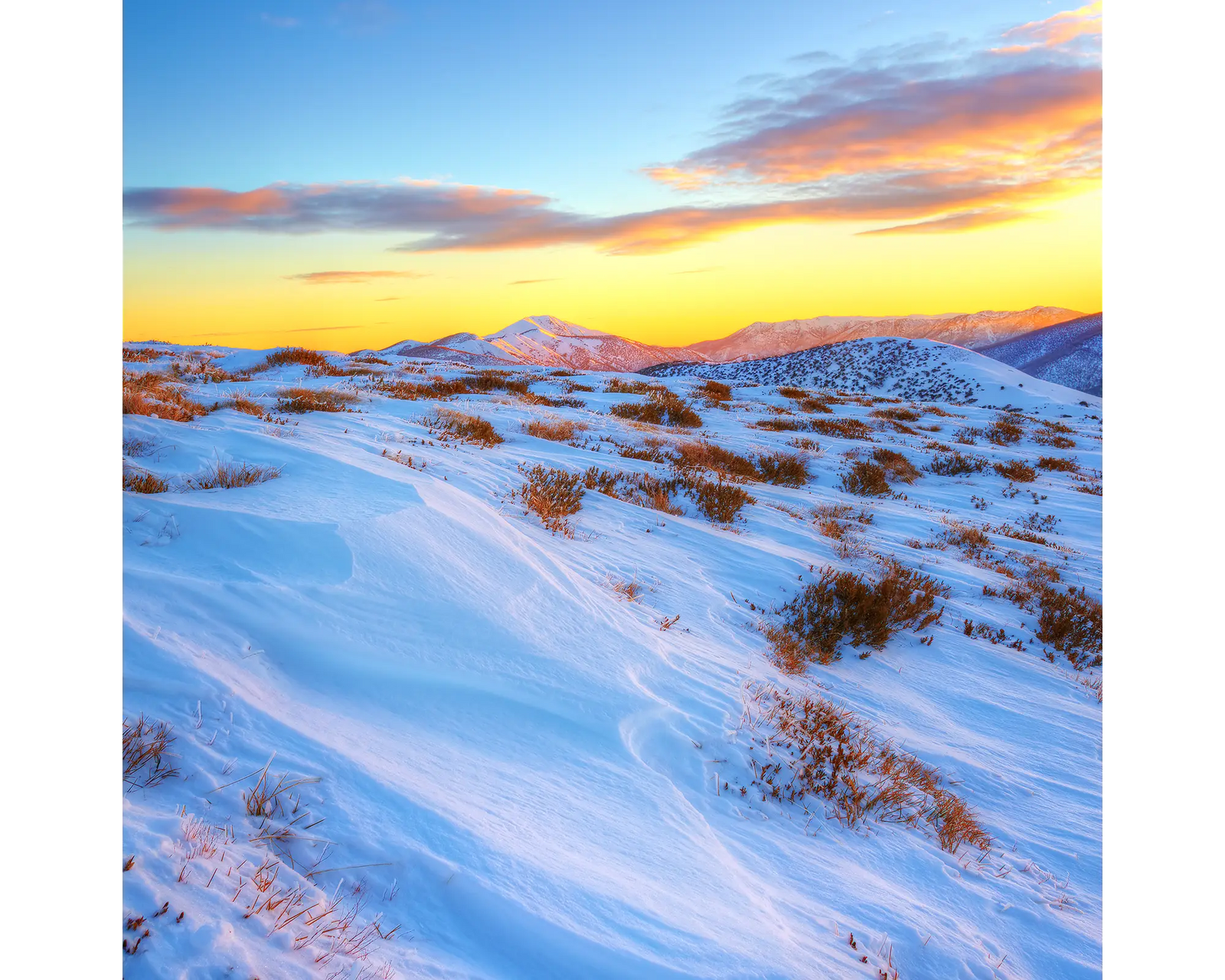 Razorback Dawn. Sunrise light over the Razorback leading to Mount Feathertop summit.