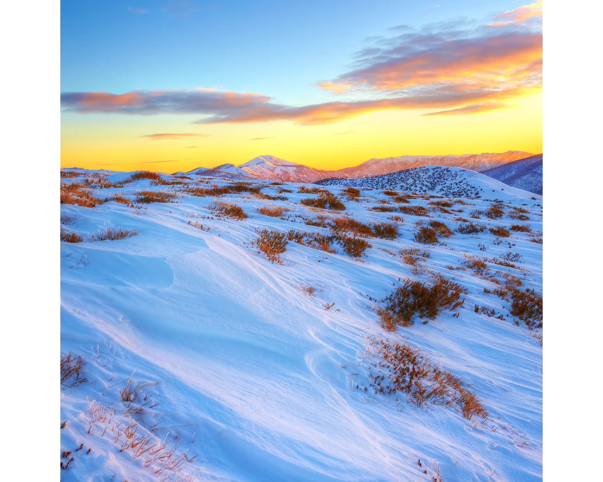 Razorback Dawn. Sunrise light over the Razorback leading to Mount Feathertop summit.