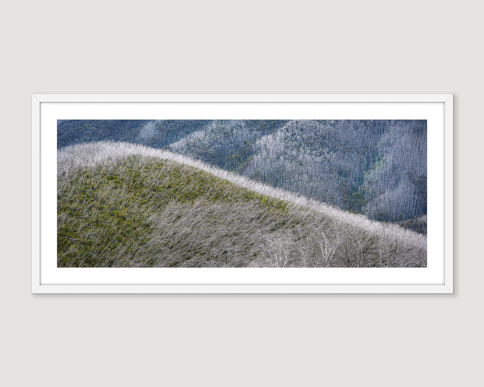 Framed landscape photograph of a mountain forest.