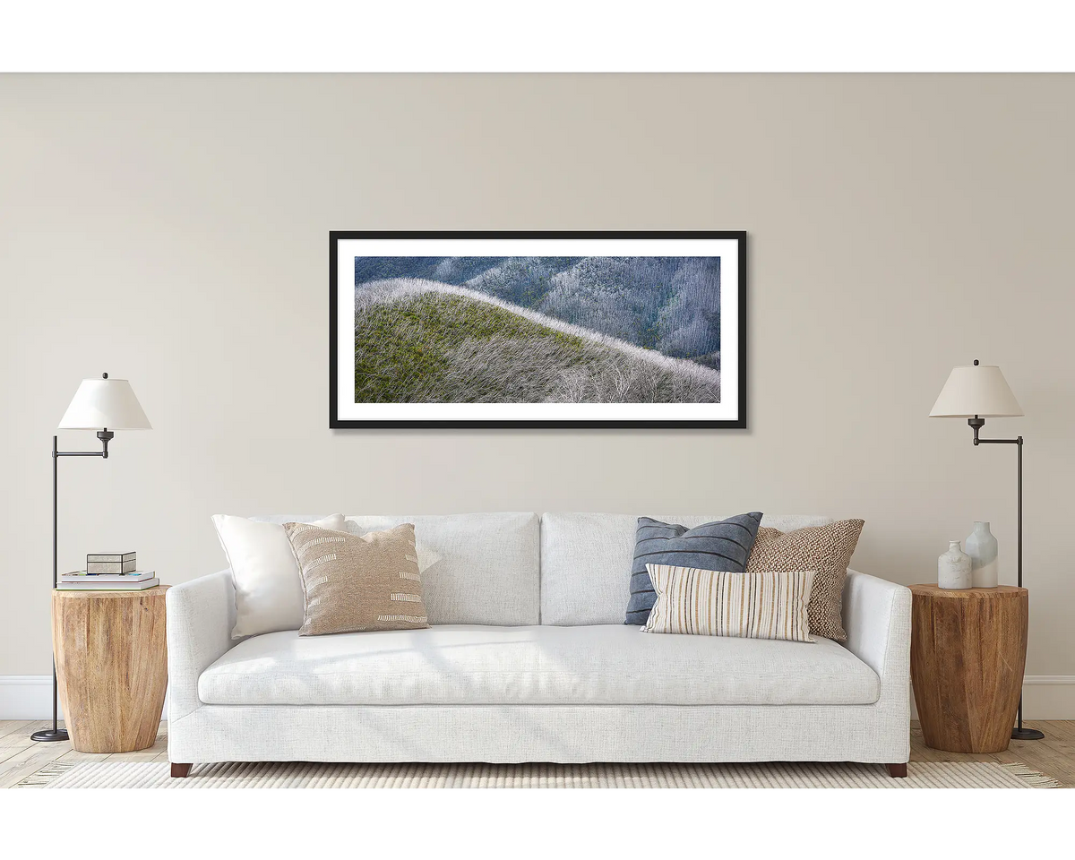 Recovery. Wall art print of a snow gums after bushfires, framed with a black frame and hung above a couch. 