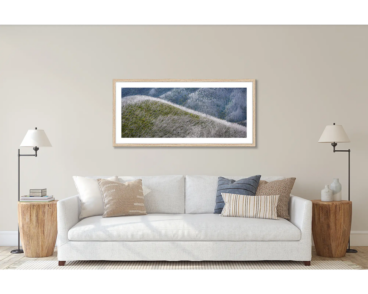 Recovery. Wall art print of a snow gums after bushfires, framed with a Tasmanian Oak frame and hung above a couch. 