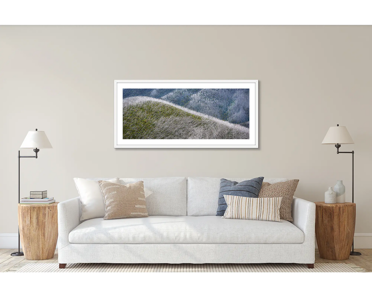 Recovery. Wall art print of a snow gums after bushfires, framed with a white frame and hung above a couch. 