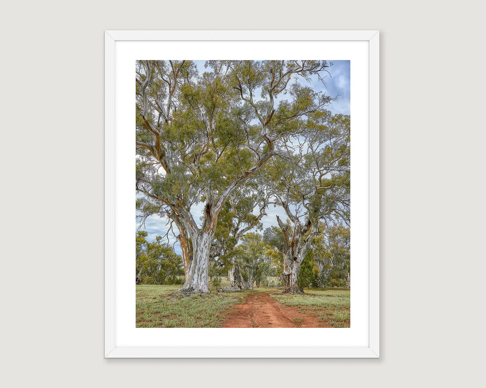 Framed photograph of a red dirt track through gum trees.