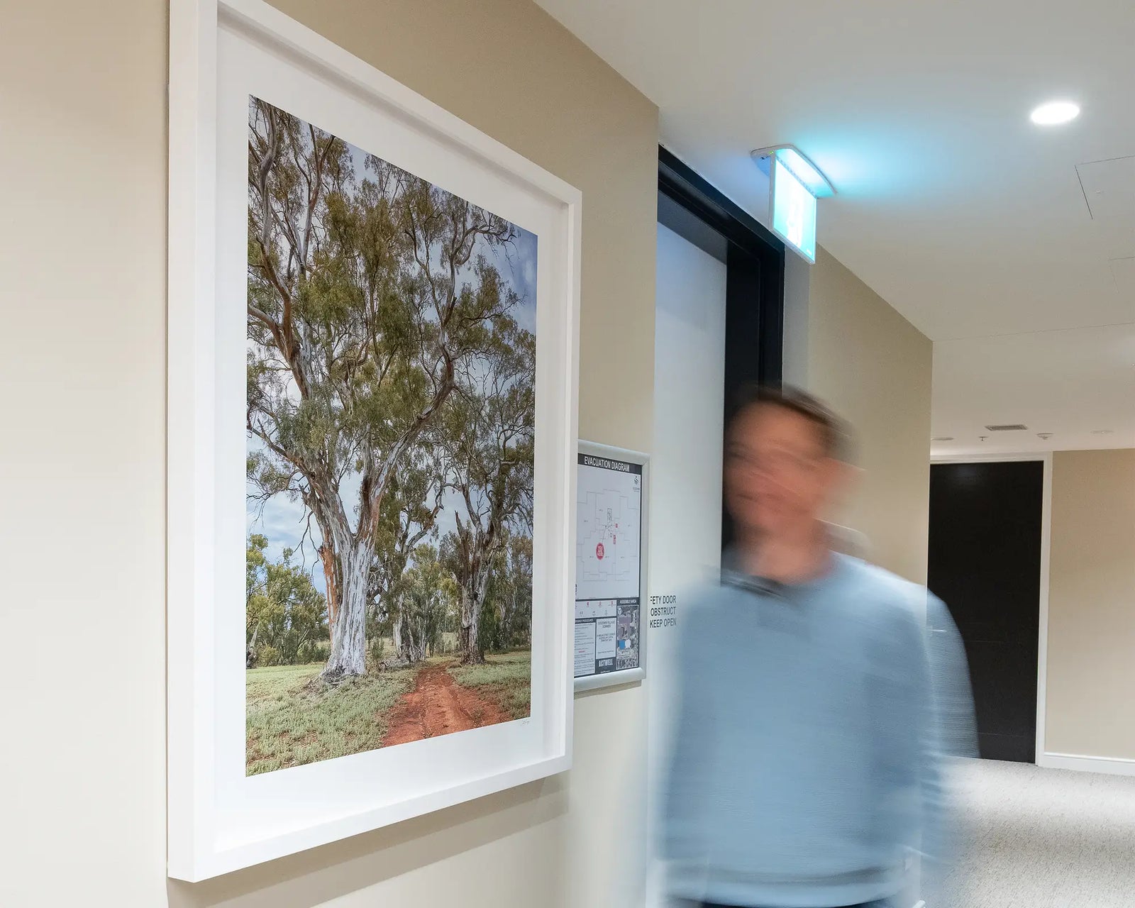 Framed photograph of a red dirt track through gum trees.