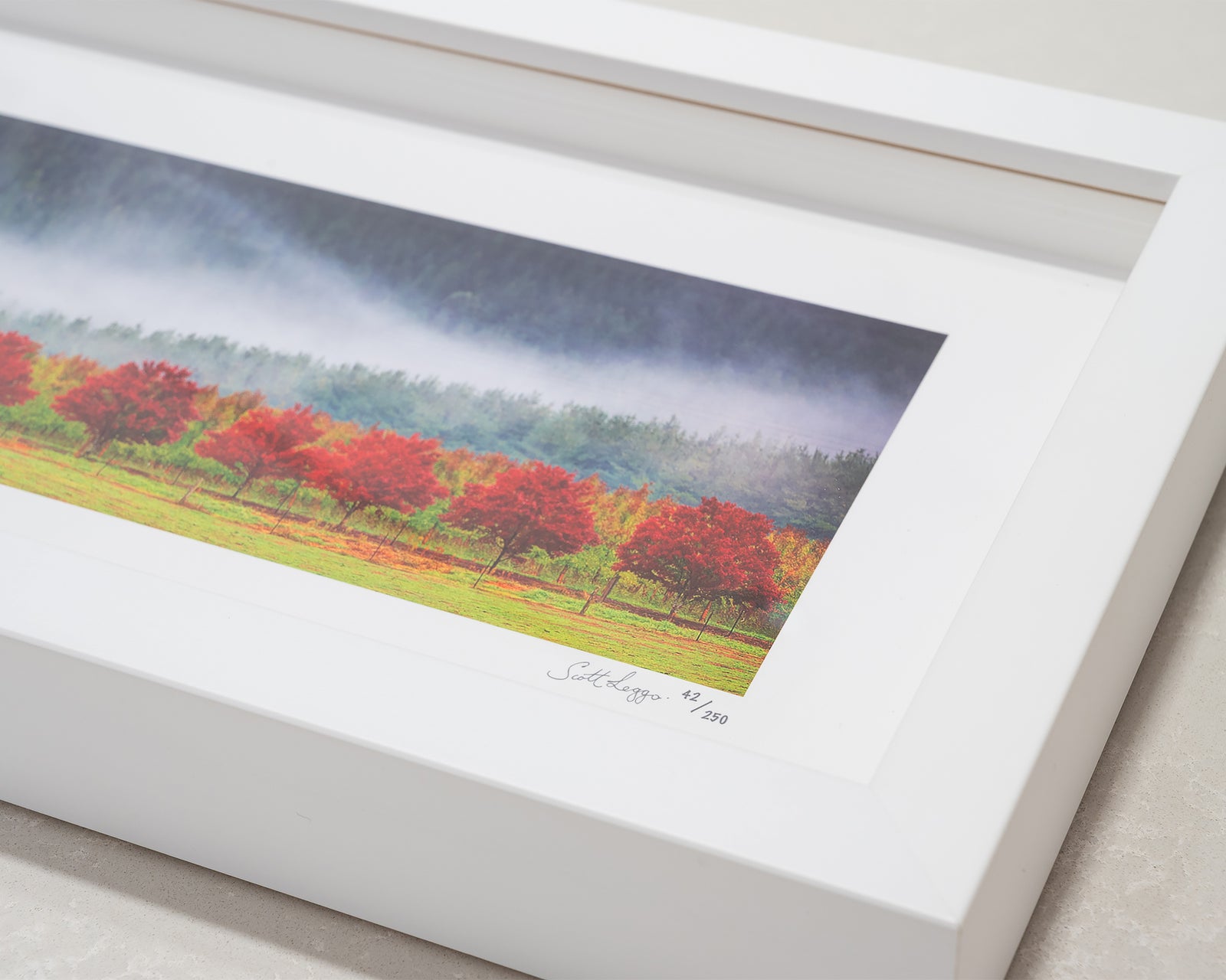 Framed landscape photograph of red trees with green grass and mountain forest in mist.