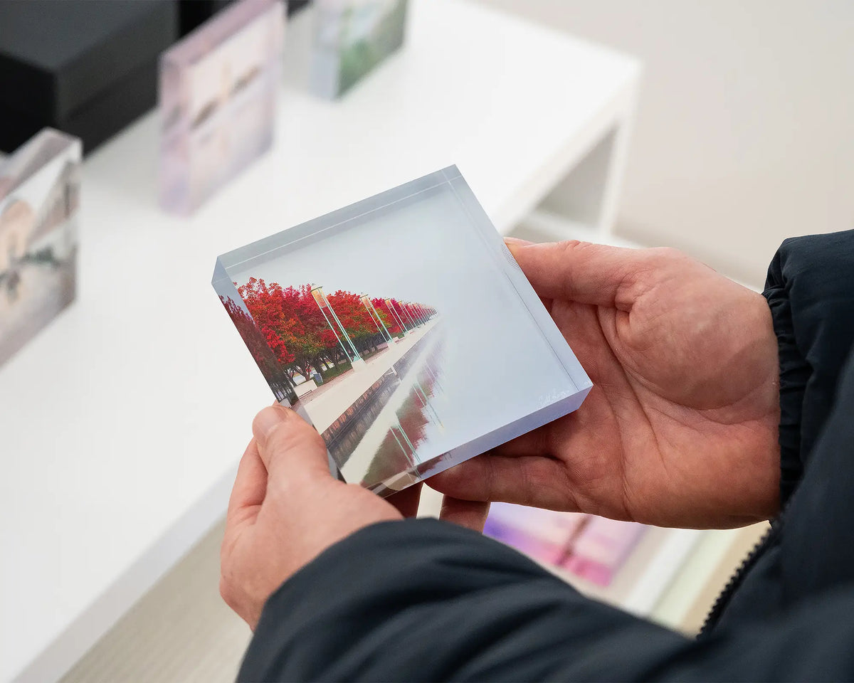 Red Serenity. Acrylic block of autumn trees lining Lake Burley Griffin in fog, Canberra, held in hands.