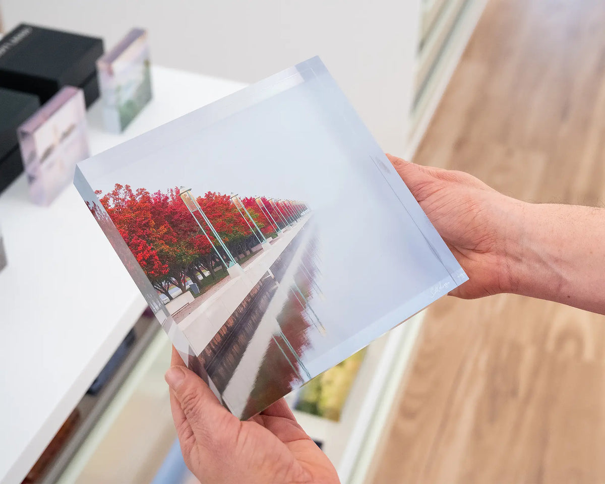 Red Serenity. Acrylic block of autumn trees lining Lake Burley Griffin in fog, held in hands.