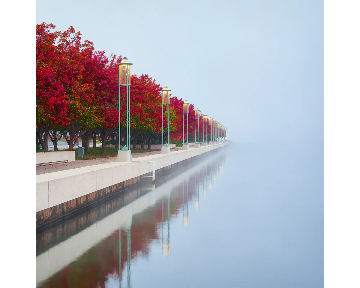 Red Serenity. Red autumn trees in fog beside Lake BUrley Griffin, Canberra.