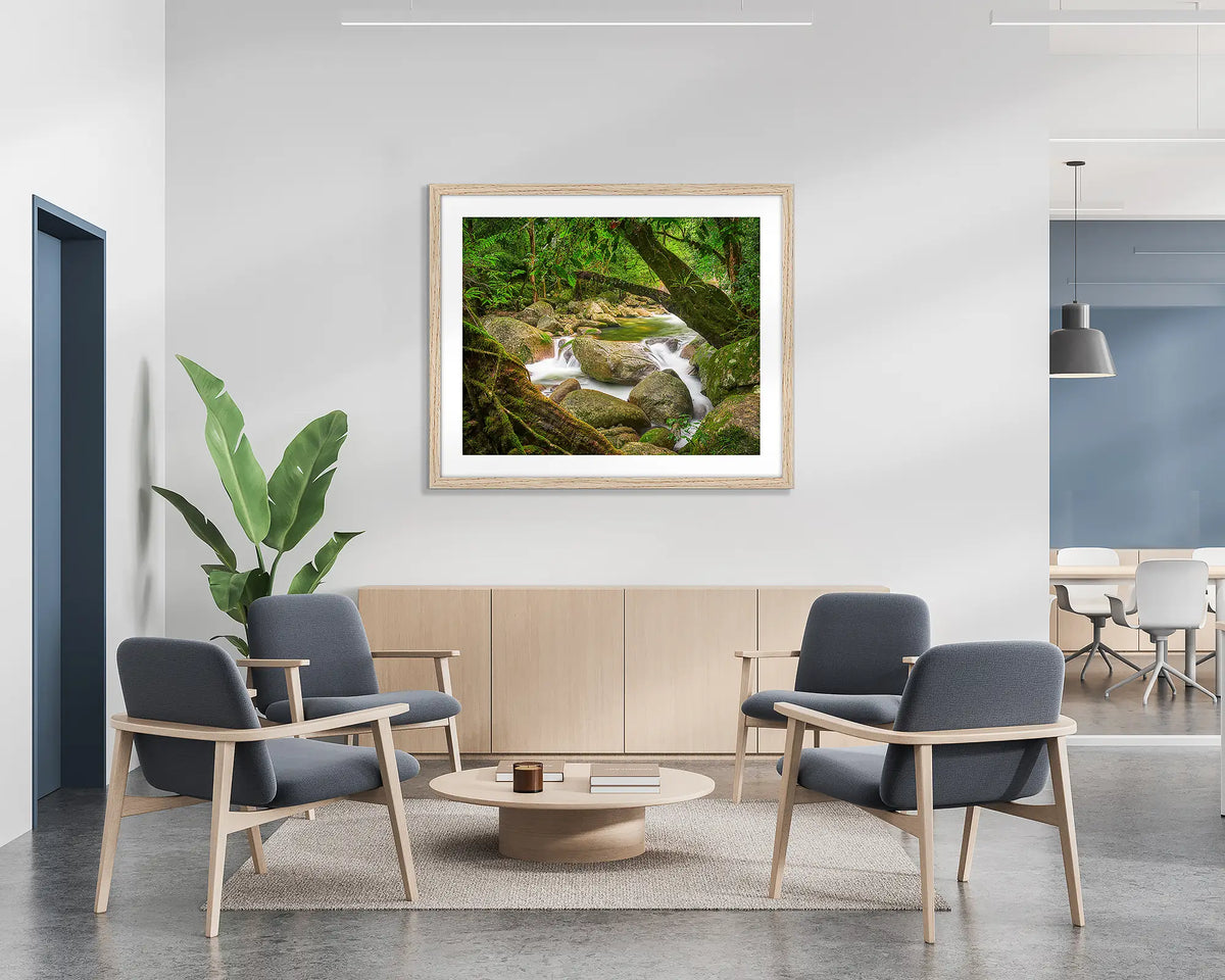 Relaxed.  Daintree rain forest wall art print with a Tasmanian Oak frame, hung on the wall of a waiting area.