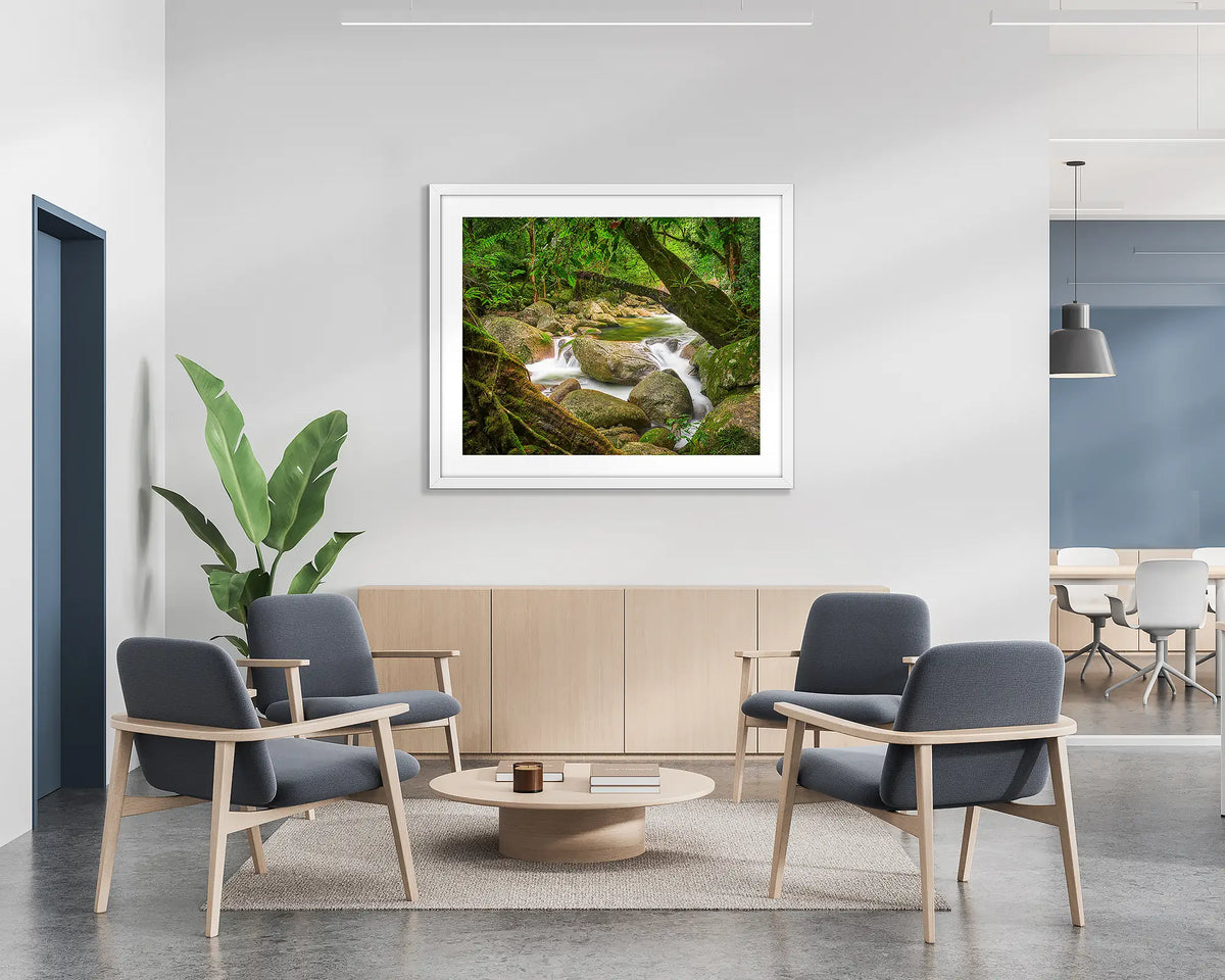 Relaxed.  Daintree rain forest wall art print with a white frame, hung on the wall of a waiting area.