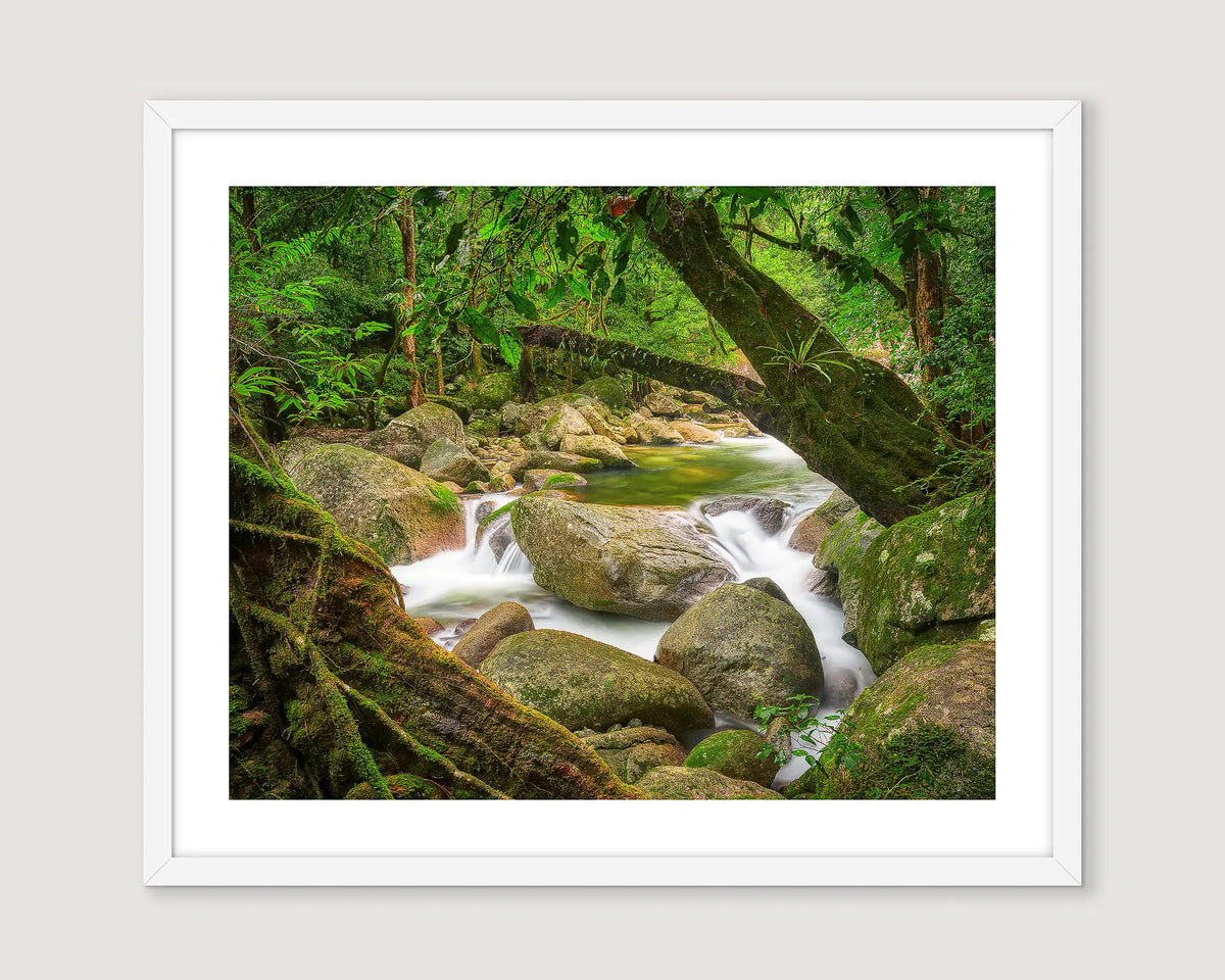Framed landscape photograph of a rocky creek cascading though a rainforest in the Daintree National Park. 