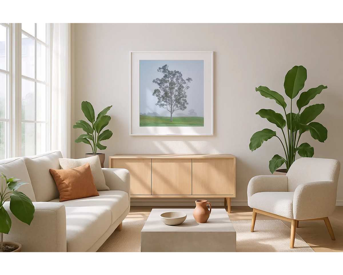 Reminiscence. Wall art print of gum tree, with a white frame, hung in a sunlit lounge. 