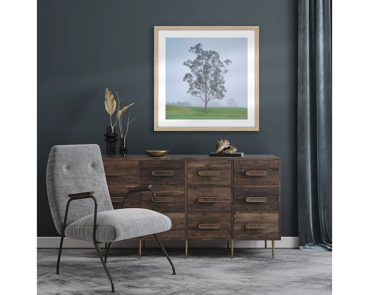 Reminiscence. Wall art print with a timber frame of a gum tree in fog, Cypress Lakes Resort Hunter Valley, hung in a room with dark walls.