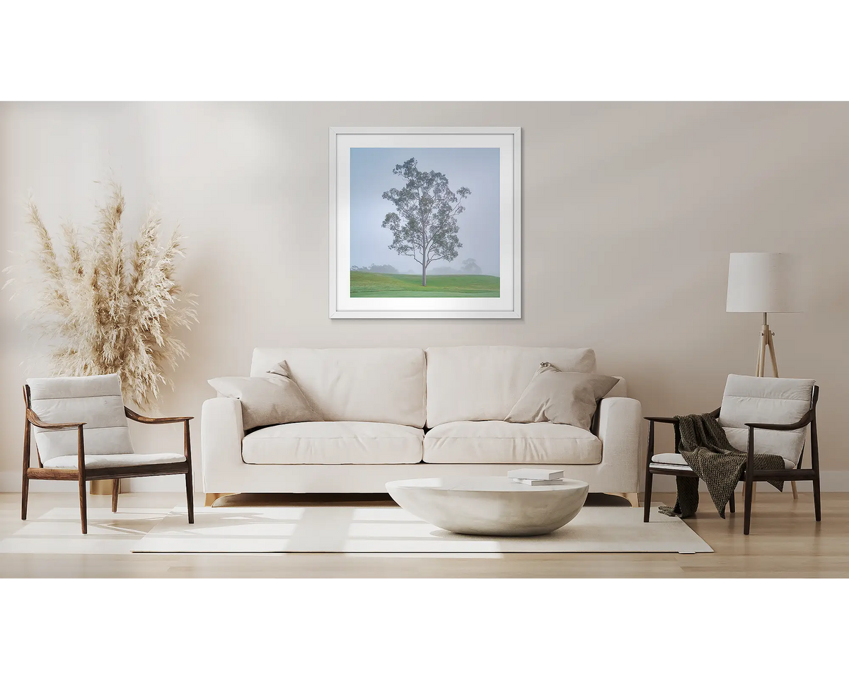 Reminiscence. Wall art print with white frame of gum tree in fog, Cypress Lakes Resort, Hunter Valley, hung above couch.