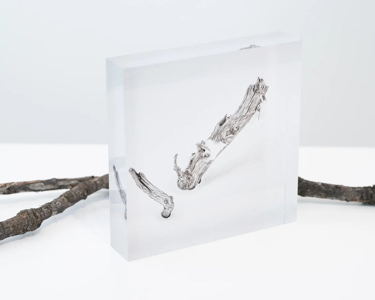 Remnant. Acrylic block of a dead snow gum in snow, styled in front of fallen twigs.