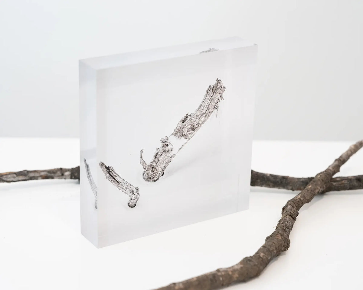 Remnant. Acrylic block of a dead snow gum in snow, styled with fallen twigs.