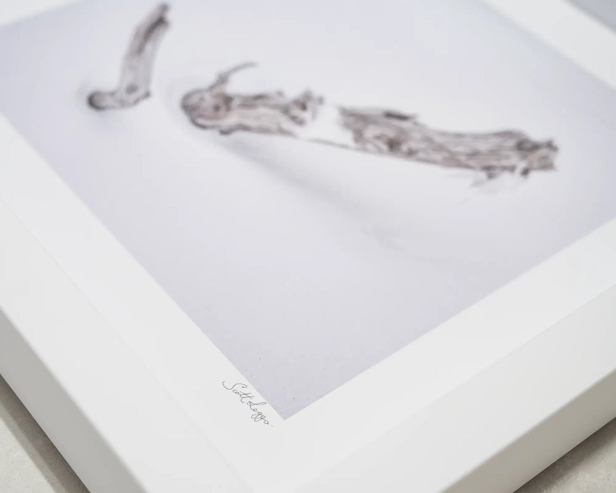 Remnant. Close-up of Scott Leggo signature on small framed print.