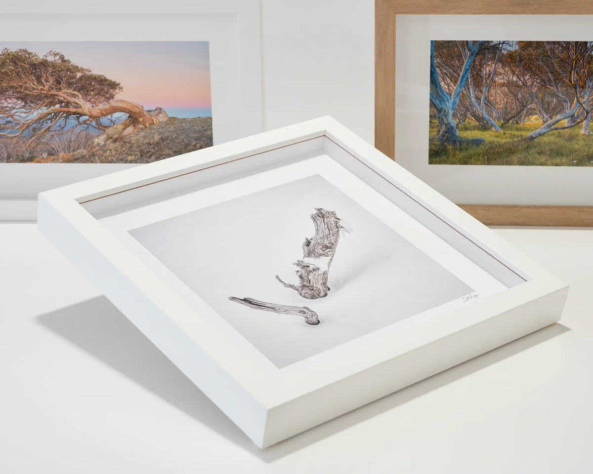 Remnant. Old snow gum artwork with white frame on a table with other small framed prints.