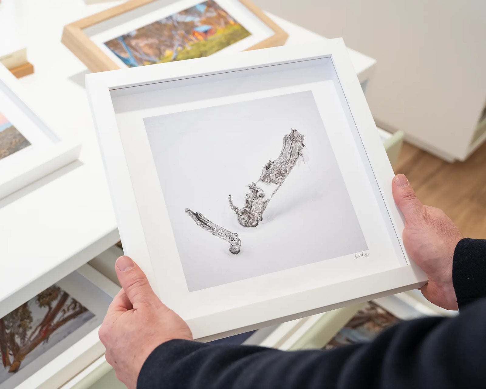 Framed neutral photograph of a snow gum emerging from heavy snowfall.