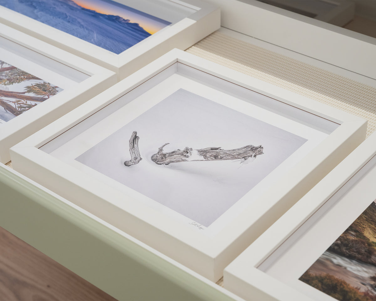 Remnant. Small framed print with white frame in gallery drawer.