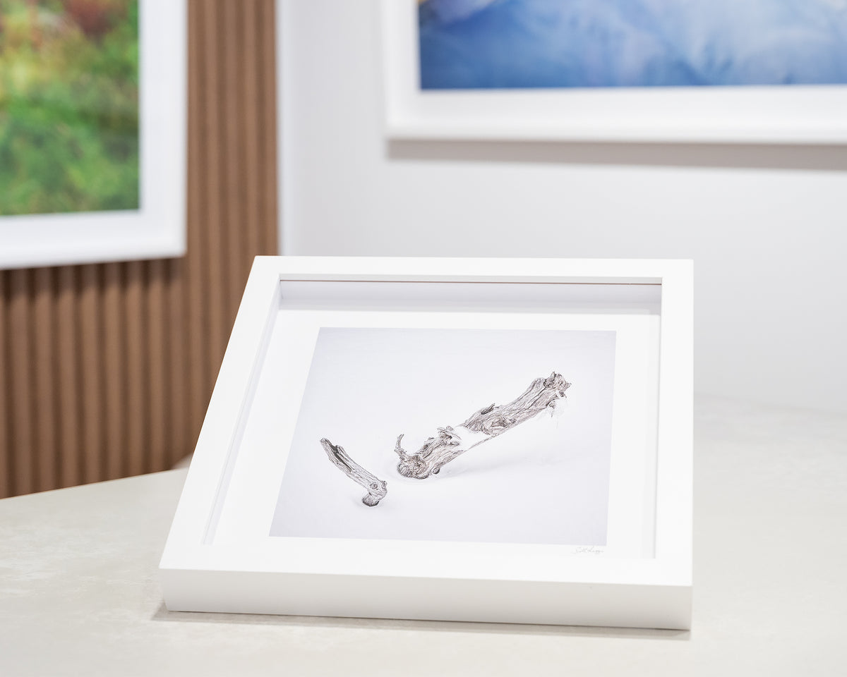 Remnant. Small framed print with white frame in gallery with snow artworks.