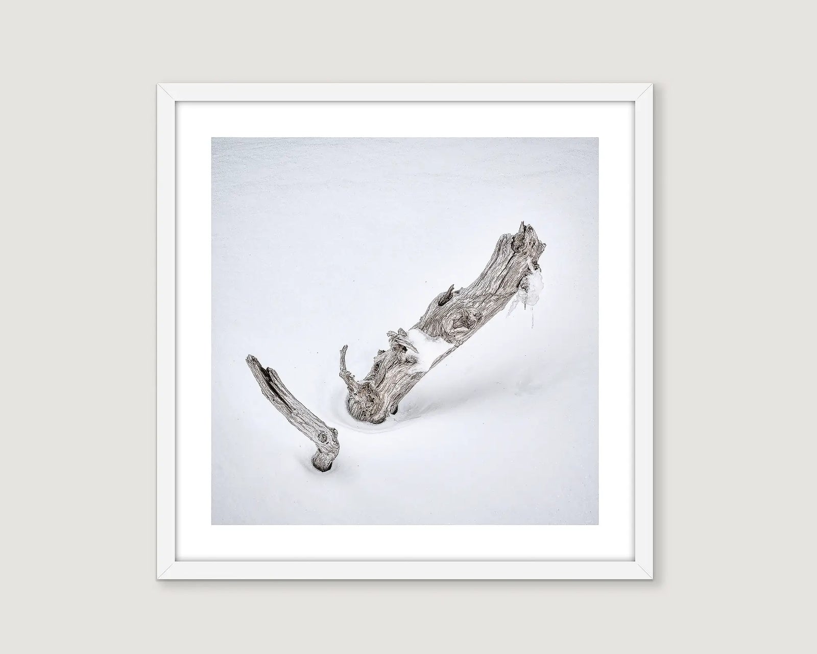 Framed neutral photograph of a snow gum emerging from heavy snowfall.