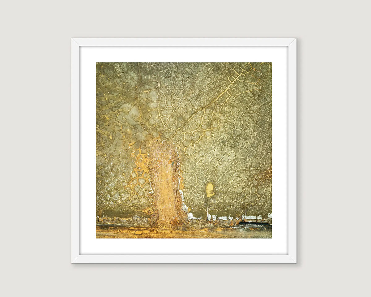 Framed abstract photograph with earthy tones of green, brown and yellow.