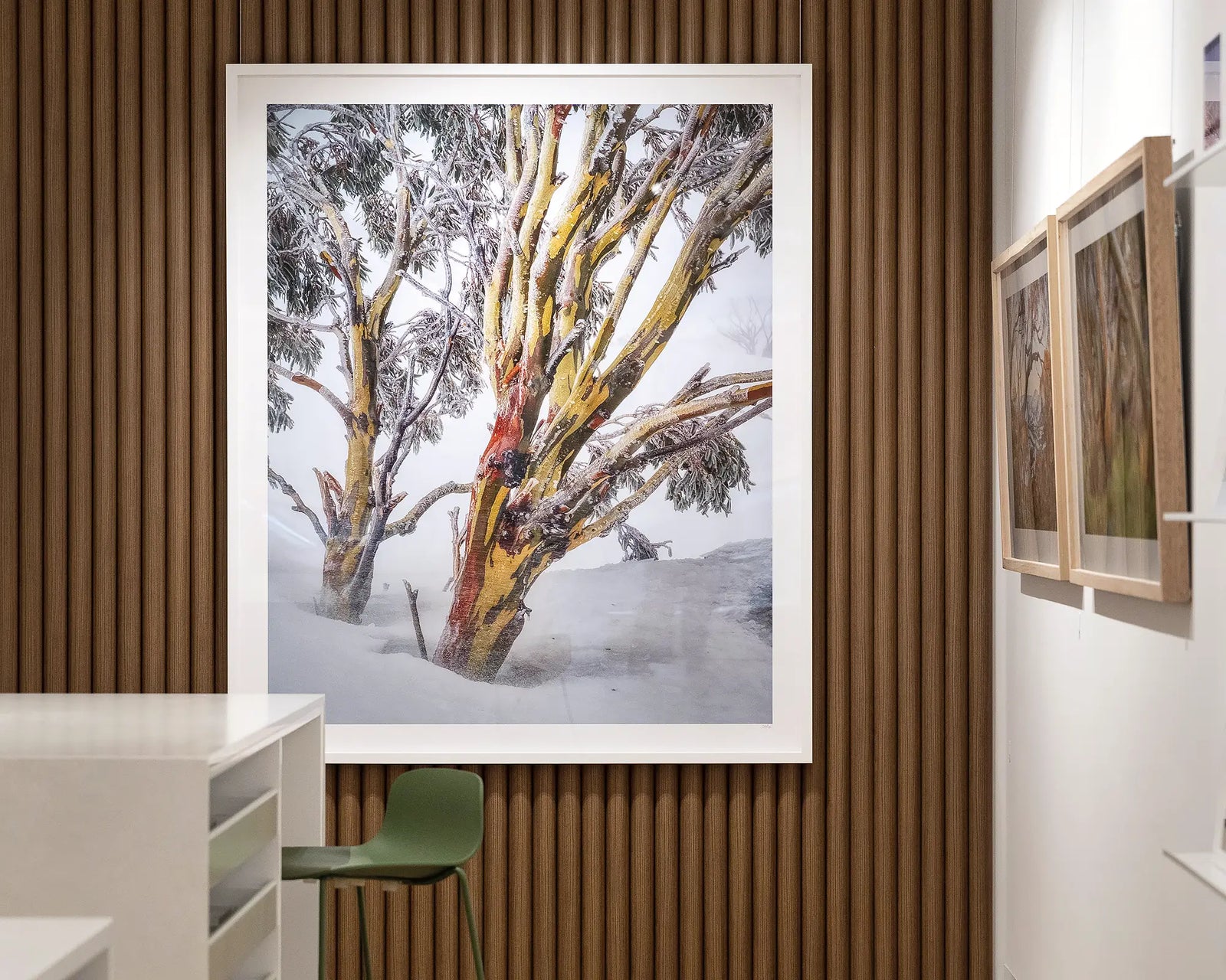 Framed landscape photograph of two snow gums in heavy snow.