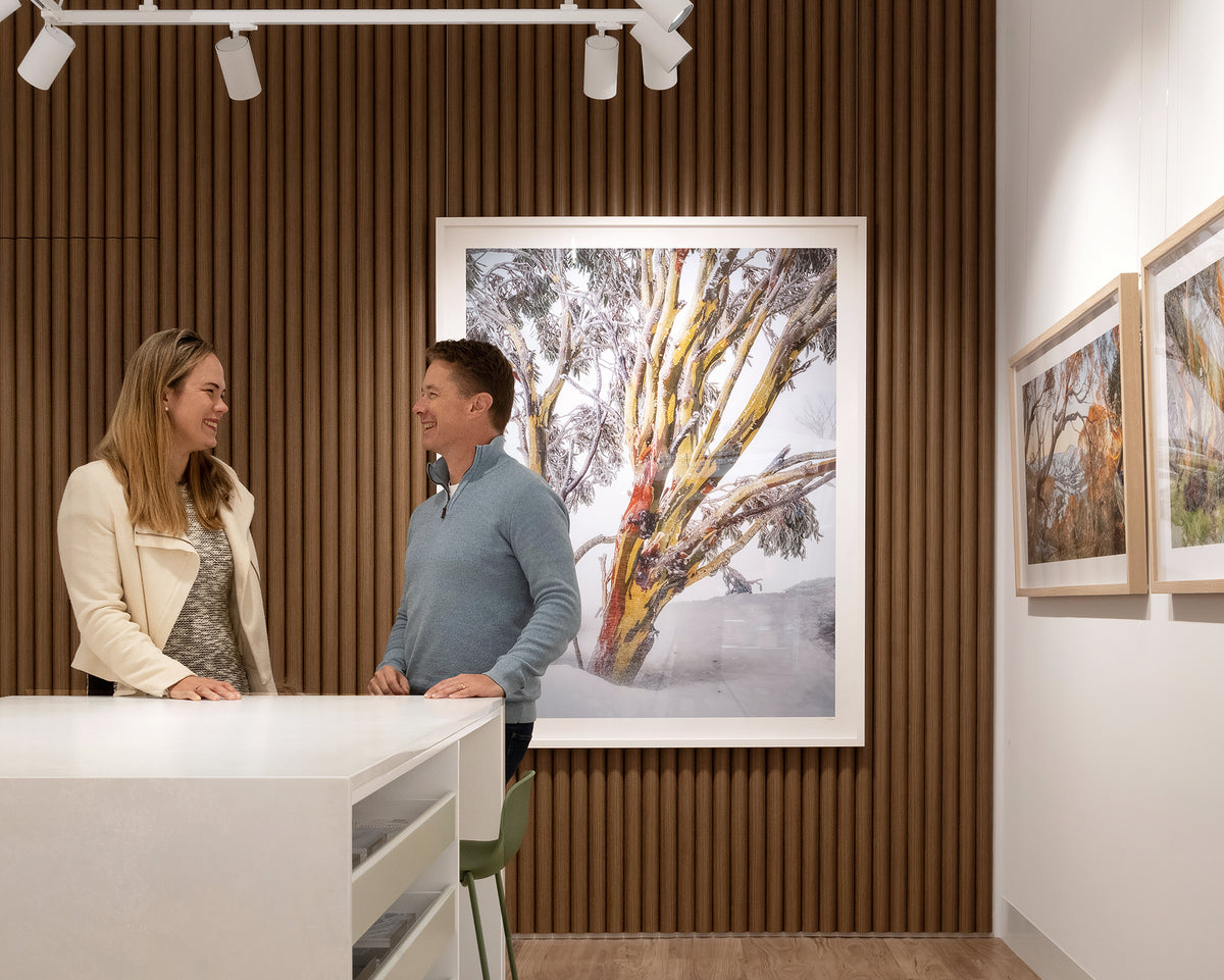 Resilience. Snow gum in snow storm Kosciuszko National Park, large wall art with white frame hung in gallery, with people in front.
