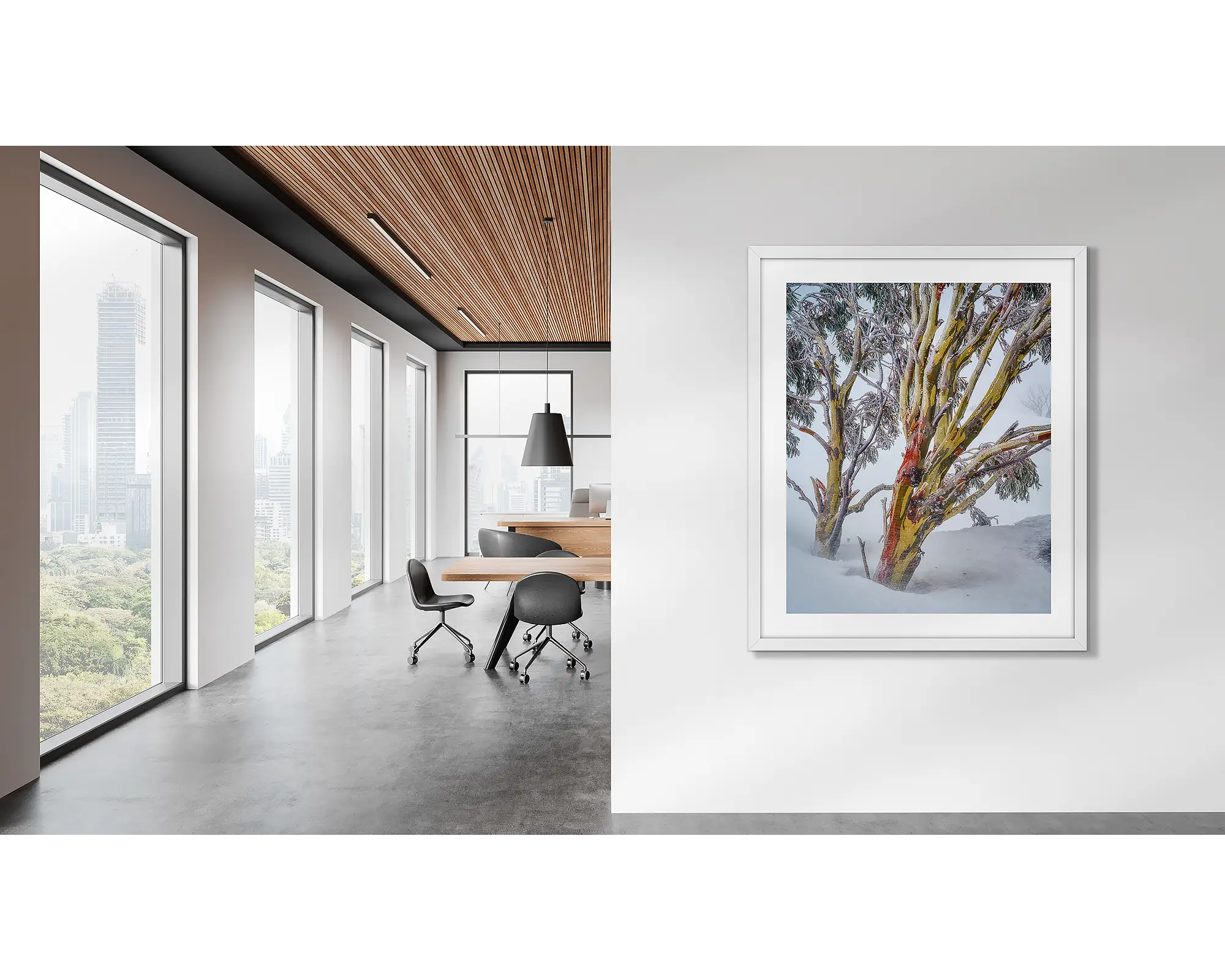 Resilience - Snow gum in snow storm, Kosciuszko National Park.